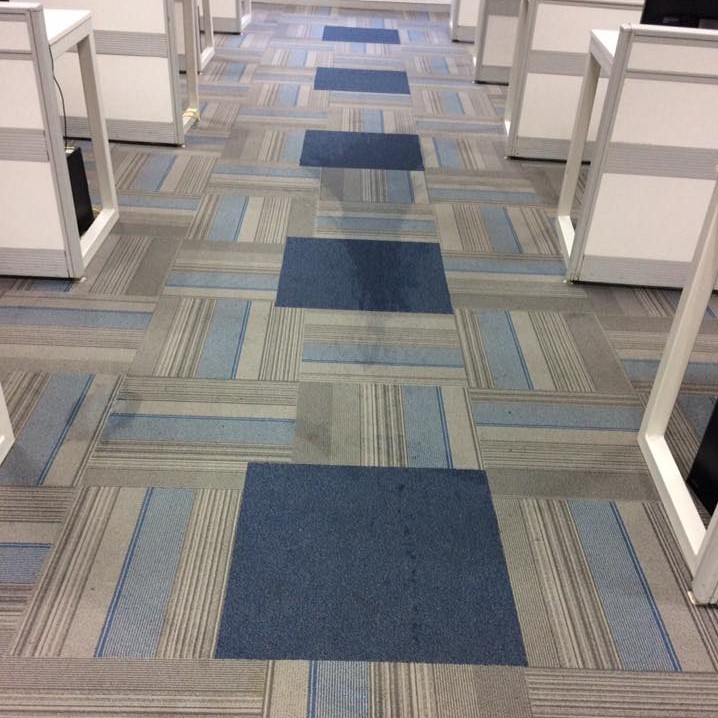 carpet shampooing & spot removing